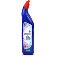 toilet cleaner