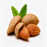 কাঠবাদাম 500gm (premium quality)
